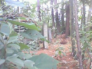 贵州徐氏家谱家族相册_贵州徐氏家谱网上家谱