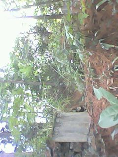 贵州徐氏家谱家族相册_贵州徐氏家谱网上家谱