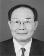 关振东