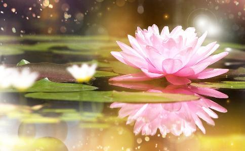 u=343252704,3051567727&fm=27&gp=0.jpg u=343252704,3051567727&fm=27&gp=0.jpg