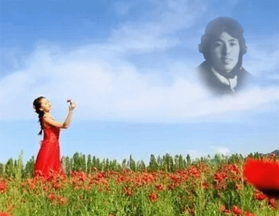 05.gif