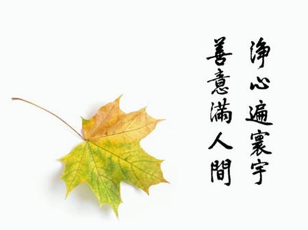 203119z9s6ae5k5kjza51n.png