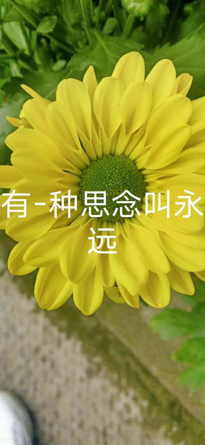 ef50a0bf19d9ae1701f68871ab2013fb.jpeg
