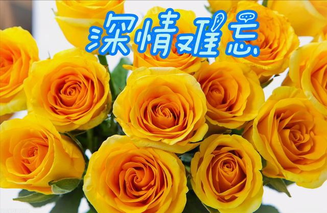 8fa97fc168c641dc91a57b94e91d921f.png 8fa97fc168c641dc91a57b94e91d921f.png